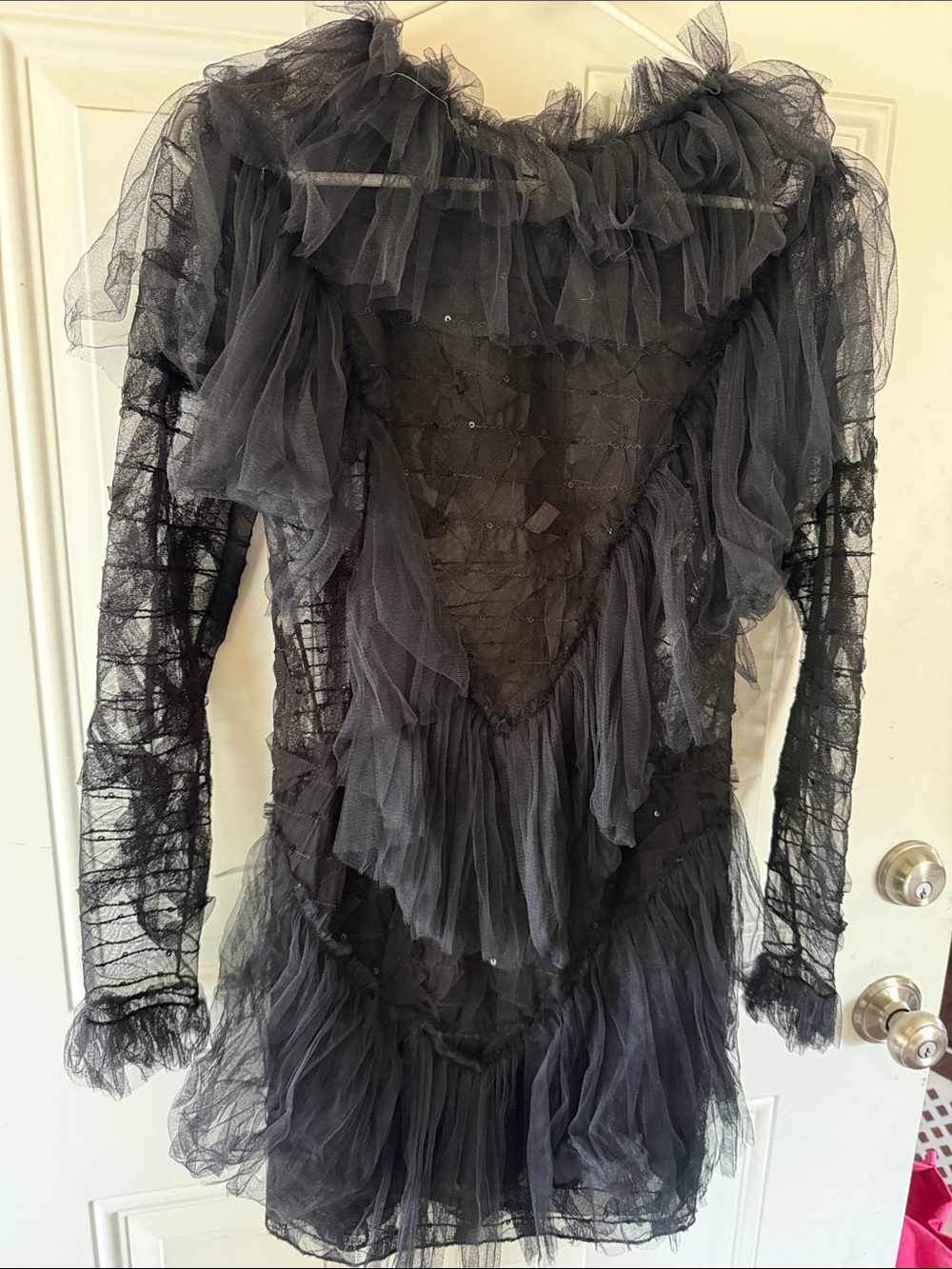 Sheer Black Ruffled Tulle Mini Dress